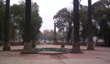 Vecinos de la Alameda de Curicó denuncian lanzamiento de fuegos artificiales todos los viernes