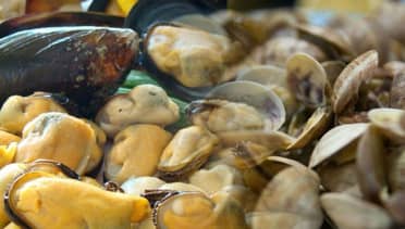 Niño de 3 años murió intoxicado por mariscos con marea roja