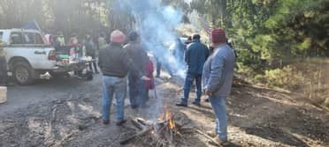 Vecinos de Los Sauces de Hualañé se tomaron la Ruta J-80 entre Hualañé y Llico