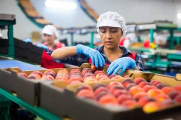 Trabajadores de packing denuncian sueldos impagos: Empresa se abre al diálogo