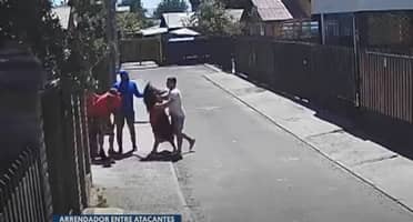 Arrendatarios sufren brutal agresión por parte de dueño de vivienda y sus acompañantes en sector Santa Fe