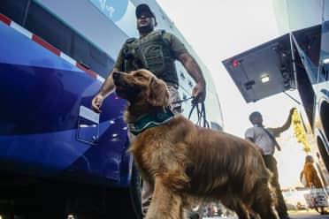 Conductor de bus con destino a la región de O'Higgins dio positivo a cocaína en fiscalización