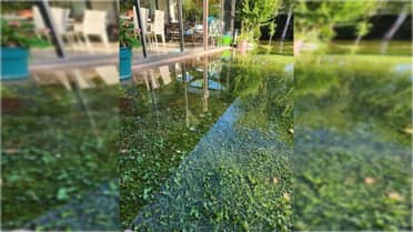 Vecina de Las Acacias denuncia derrame de agua que inunda su vivienda