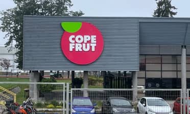 Sujetos robaron $12 millones en agroquímicos desde empresa Copefrut en Romeral