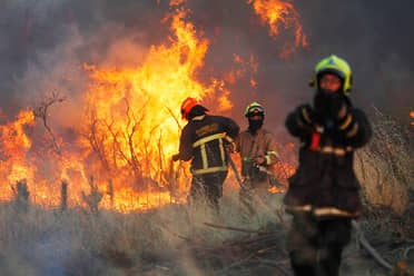 Alarma de incendio forestal en la comuna de Curicó