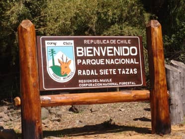 Conaf cerrará Reserva y Parque Radal Siete Tazas por temperaturas extremas de este fin de semana