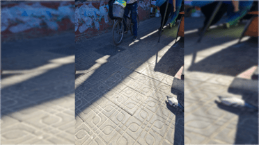 Advierten sobre baldosa suelta que provoca caídas en calle Peña esquina Av. Camilo Henríquez