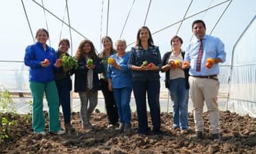 Ministra (s) de Agricultura y alcaldesa de Rauco entregan invernaderos a productoras locales