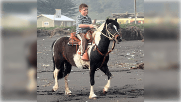 Fallece “Dominó”, el caballo que Felipe Camiroaga le regaló a Víctor “Zafrada” Díaz