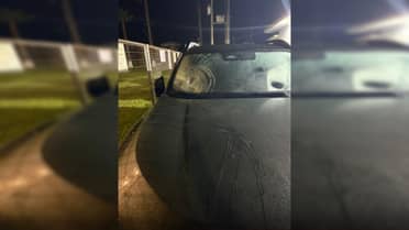 Detienen a sujeto por desórdenes y daños a vehículo en el SAR Aguas Negras