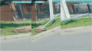 Vandalismo a cámaras de seguridad preocupa a vecinos y autoridades de Curicó