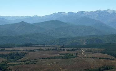 Conaf declara "contenido" el incendio forestal en Cajón de Pejerrey tras consumir más de mil hectáreas en Linares