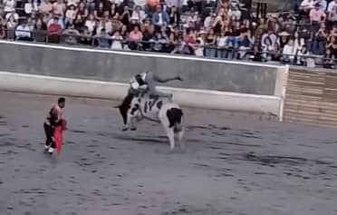 Concejala oficia al municipio por evento de Jaripeo en Curicó: "Es un hecho de maltrato animal"
