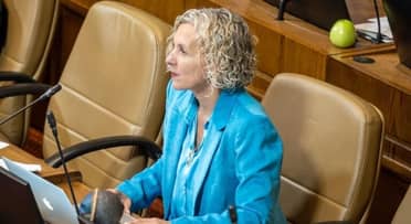 Diputada Castillo advierte grave crisis por alza de fertilizantes y caída de cultivos