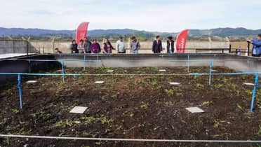 Millonaria inversión optimiza planta de tratamiento y sistemas de agua potable rural en Licantén