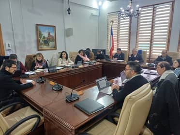 Concejo Municipal de Curicó aprobó subvención en beneficio de Corporación Naim