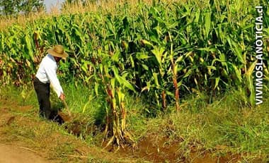 Regantes en alerta por déficit hídrico en la Región del Maule