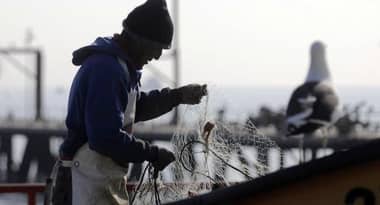 Pescadores maulinos no se sumarán a las movilizaciones