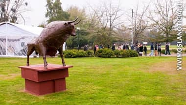 “Domador de Metales” del escultor Sergio Castillo se exhiben en UTalca