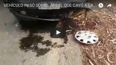 [VIDEO] Milagrosa escapada de familia que viajaba a Iloca
