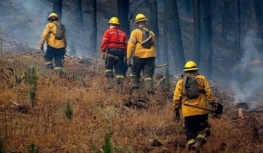 Alerta Amarilla por incendio forestal en Longaví
