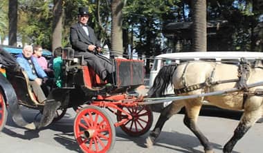 Variado público compartió Día del Patrimonio en Curicó