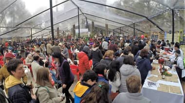 60 mil personas disfrutaron de la Feria Gastronómica de Cazuelas y Caldillos