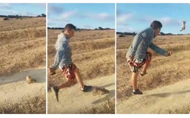 Buscan al joven que pateó un conejo al grito de “Cristiano Ronaldo”