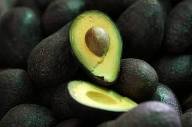 Ingreso de paltas desde Perú podría "normalizar" precios del fruto en Chile