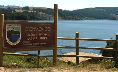 Fundación Reforestemos plantará árboles nativos en la Reserva Nacional Laguna Torca