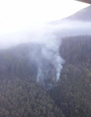Logran controlar incendio forestal en La Hornilla en Upeo