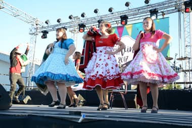 Cumbre del Vino de Lontué se celebrará este fin de semana con música y ferias
