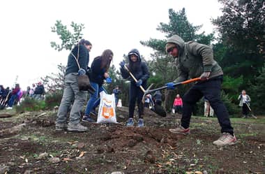 Estudiantes celebraron Día Mundial del Medio Ambiente reforestando el cerro Condell