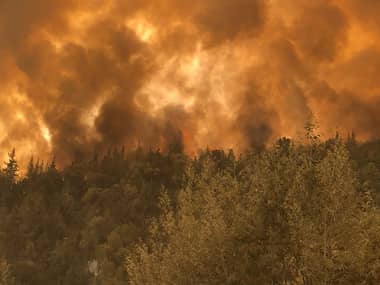 Decretan Alerta Temprana Preventiva para la Región del Maule por amenaza de incendio forestal