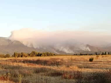 Incendio en Radal estaría controlado y esfuerzos se concentran en sector de Agua Fría