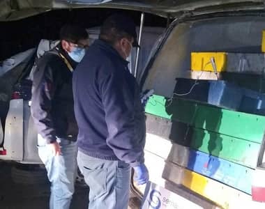 Millonario decomiso de merluza procedente de Duao efectuó Sernapesca regional