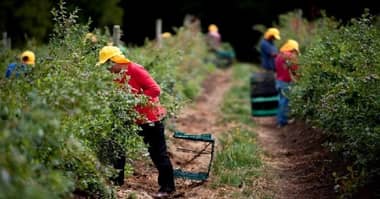 OMIL Rauco realiza capacitaciones y difunde ofertas laborales de temporada