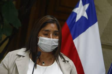 Consejo de Defensa del Estado solicitó rechazar millonaria demanda de senadora Fabiola Campillai
