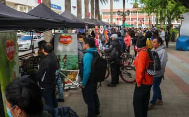 Feria Laboral OMIL 2022 de Curicó contó con masiva asistencia