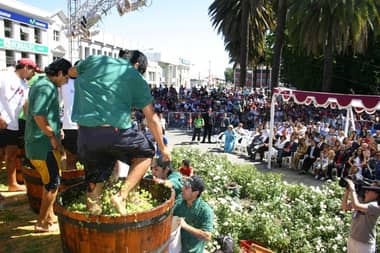 Candidatas competirán por ser la nueva embajadora de la Fiesta de la Vendimia de Curicó