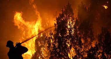 Incendios forestales: declaran estado de catástrofe en la región de Ñuble