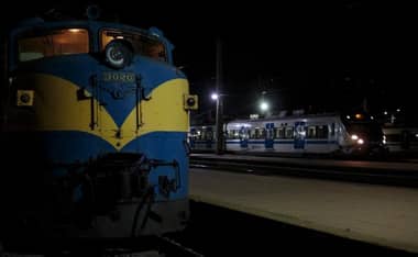 Tren de pasajeros arrolló a dos caballares frente a Curicó