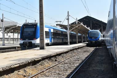 Autoridades solicitan a EFE más trenes para el Maule