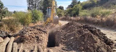 Gobernadora acusa tardía reacción de seremi de agricultura para indemnizar por gripe aviar