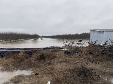Sector agrícola advierte que daños por lluvias podrían superar los de junio