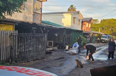 Incendio destruyó vivienda y causó muerte de cinco perros en Villa Primavera de Lontué