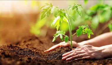 Primer Encuentro Regional de Mujeres del Agro se realizará en el campus Curicó de la UCM