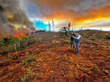 Incendio forestal destruye más de 1.300 hectáreas en Cauquenes
