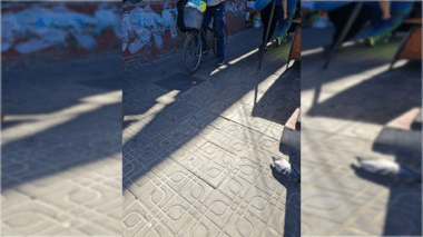 Advierten sobre baldosa suelta que provoca caídas en calle Peña esquina Av. Camilo Henríquez