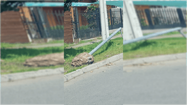 Vandalismo a cámaras de seguridad preocupa a vecinos y autoridades de Curicó